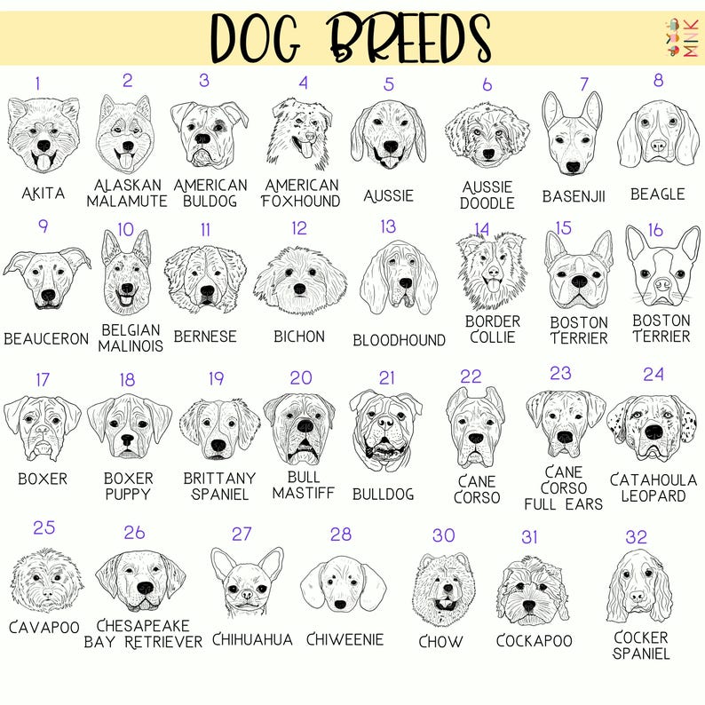 Detailed hand drawn dog breed illustrations featuring Akita, Alaskan Malamute, American Bulldog, American Foxhound, Aussie, Aussie Doodle, Basenji, Beagle, Beauceron, Bloodhound, Border Collie, Boston Terrier, Boxer, Brittany Spaniel, Bulldog