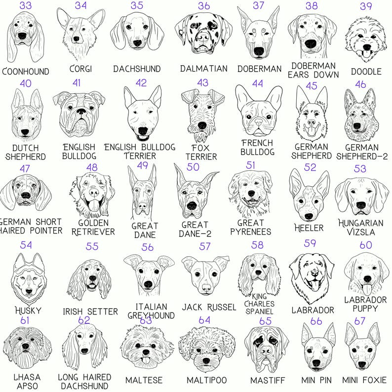 Coonhound, Corgi, Dachshund, Dalmatian, Doberman, Doberman Ears Down, Doodle, Dutch Shepherd, English Bulldog, English Bull Dog Terrier, Fox Terrier, French Bulldog, German Shepherd, German Shepherd, German Short Haired Pointer, Golden Retriever